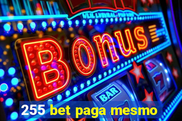 255 bet paga mesmo